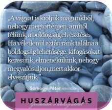 Alapok – A pusztító VÁGY, éljen a vágymentes élet